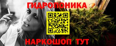 PSILOCYBIN Кандалакша