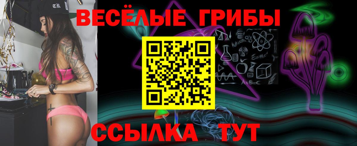 где найти   Галлюциногенные грибы Psilocybe  Псилоцибиновые грибы Psilocybe  Вход с VPN  Крымск 