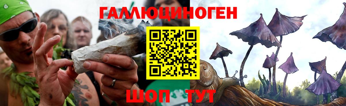 Псилоцибиновые грибы Cubensis Крымск